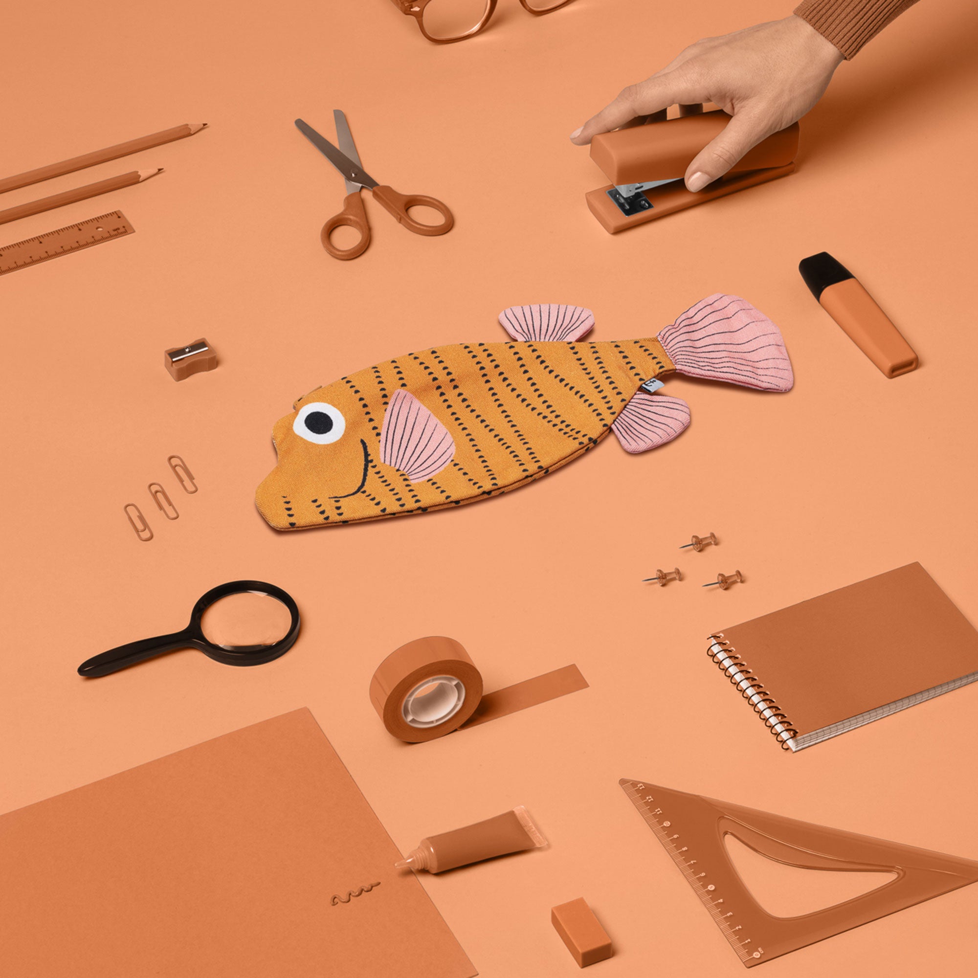 Boxfish