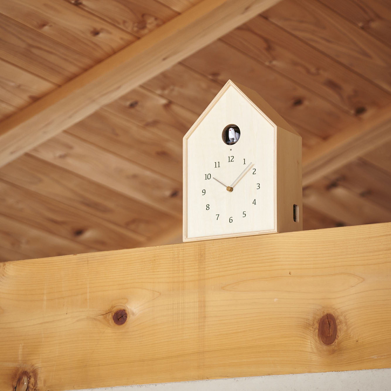 Birdhouse Clock natur