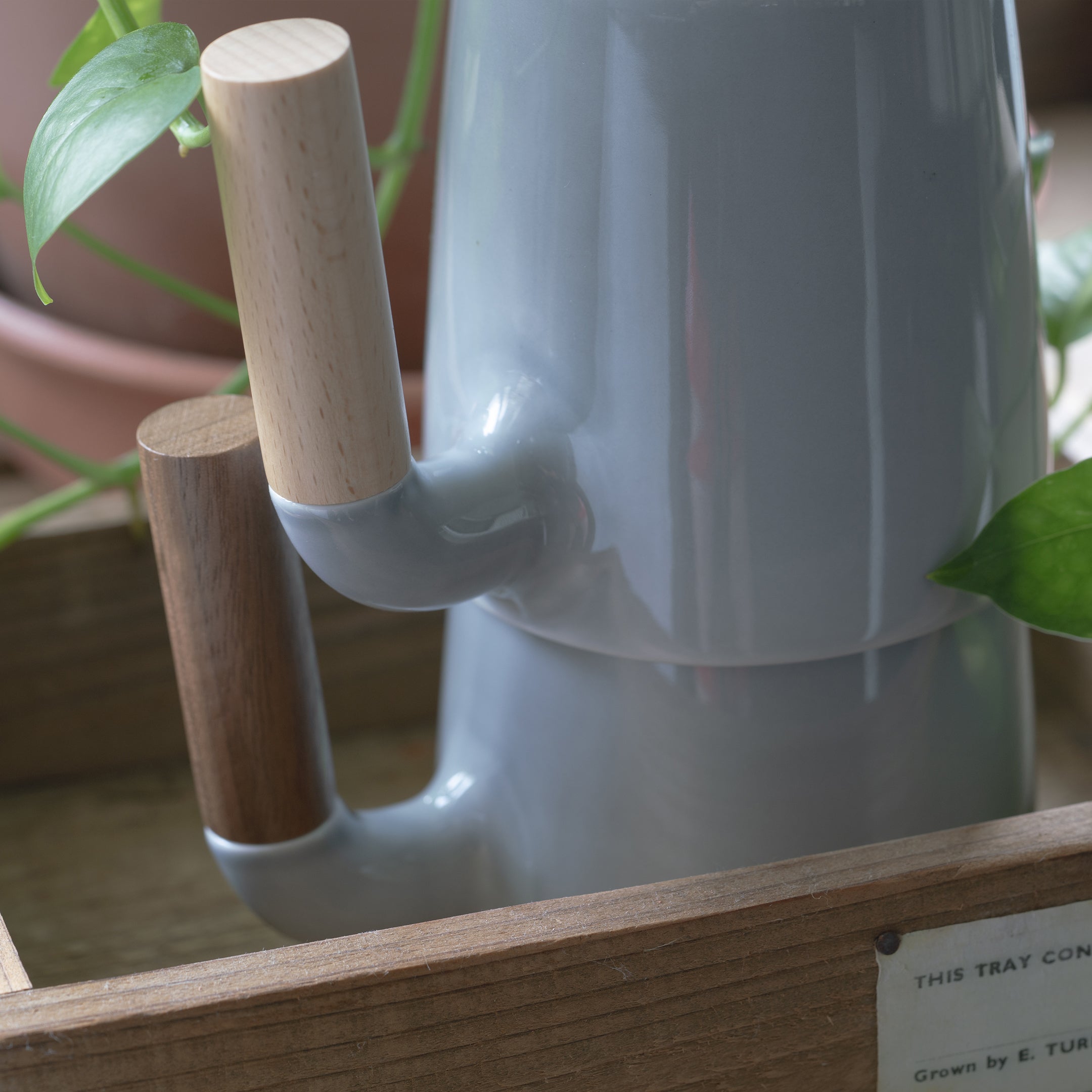 Mugr Cloud Walnut - (ceramic, walnut wood)