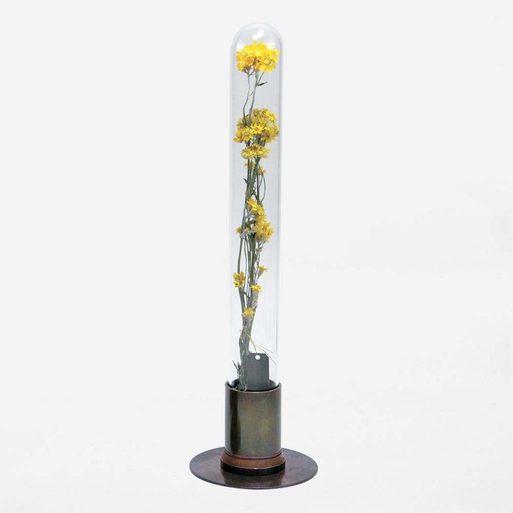 HERBARIUM BRASS GLASS DOME & FLOWER VASE RUST - Vase