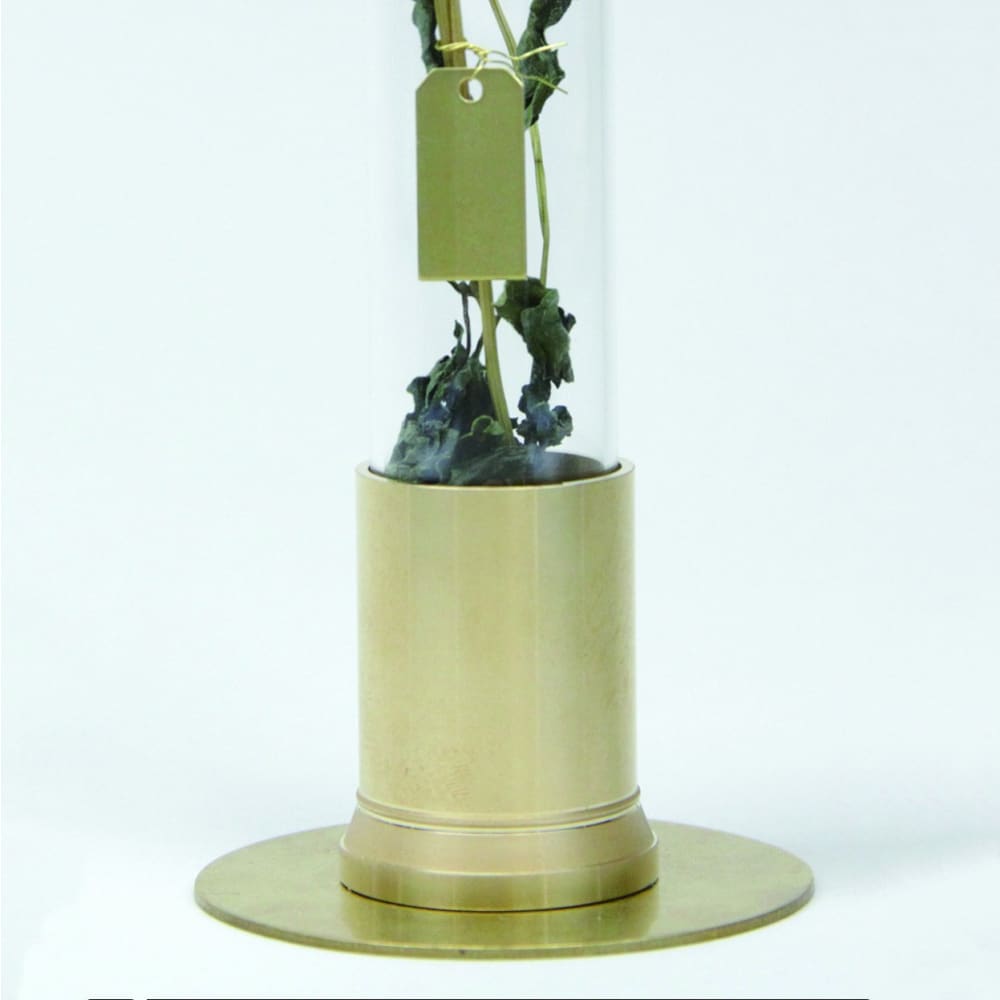 HERBARIUM BRASS GLASS DOME & FLOWER VASE SOLID - Vase