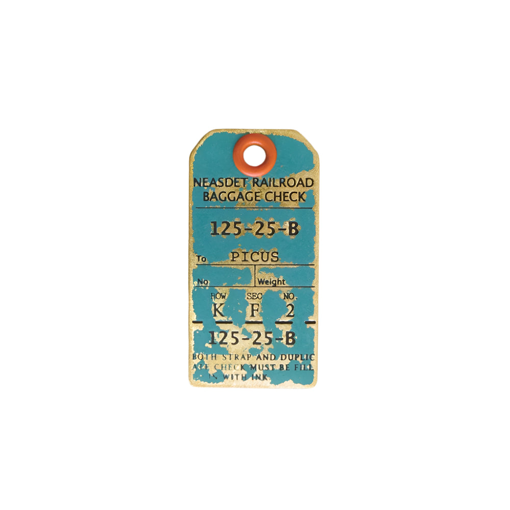 LUGGAGE TAG KEY-HOLDER ASH GREEN - Key Tag