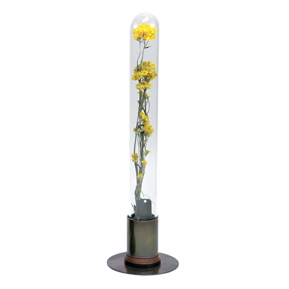 HERBARIUM BRASS GLASS DOME & FLOWER VASE RUST - Vase