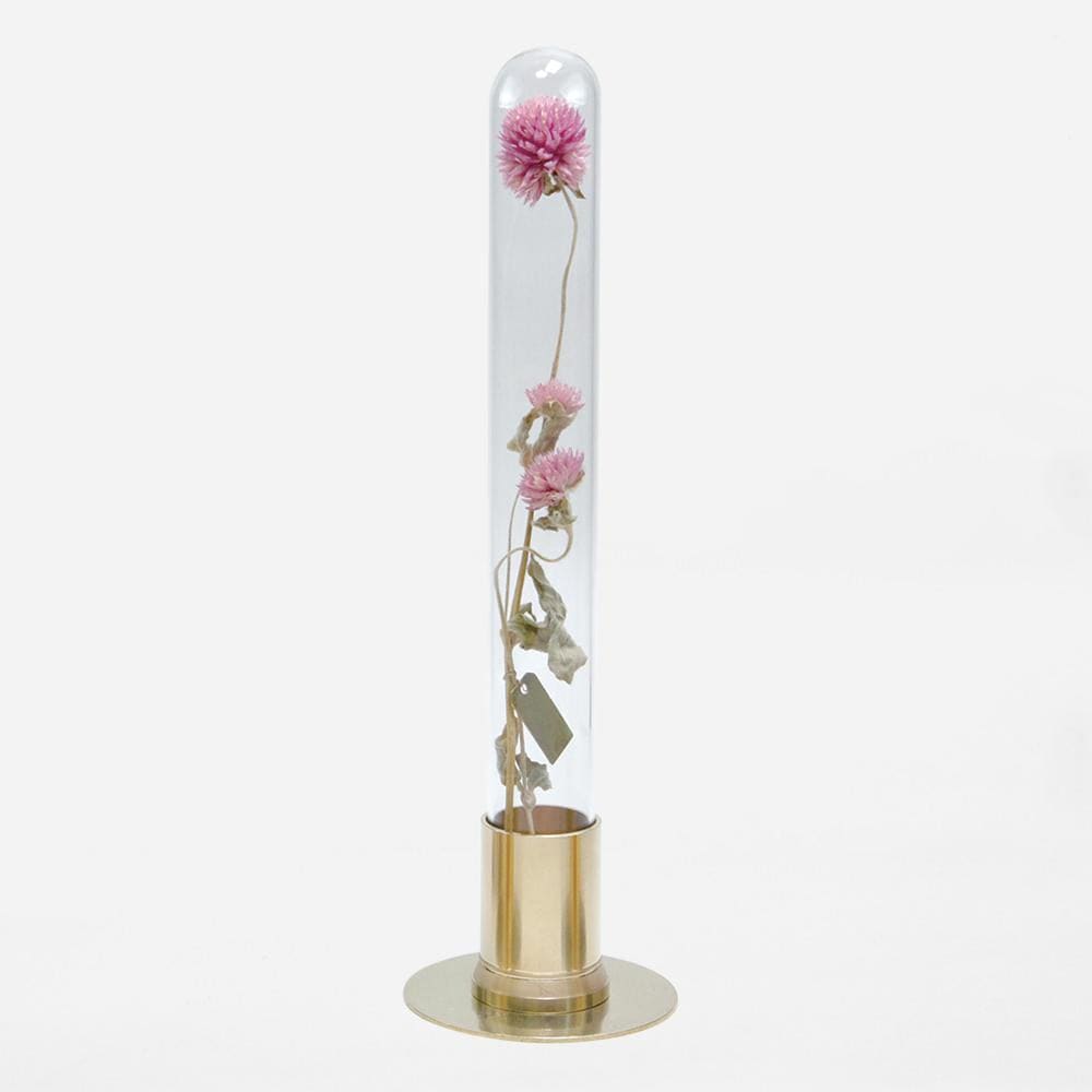 HERBARIUM BRASS GLASS DOME & FLOWER VASE SOLID - Vase