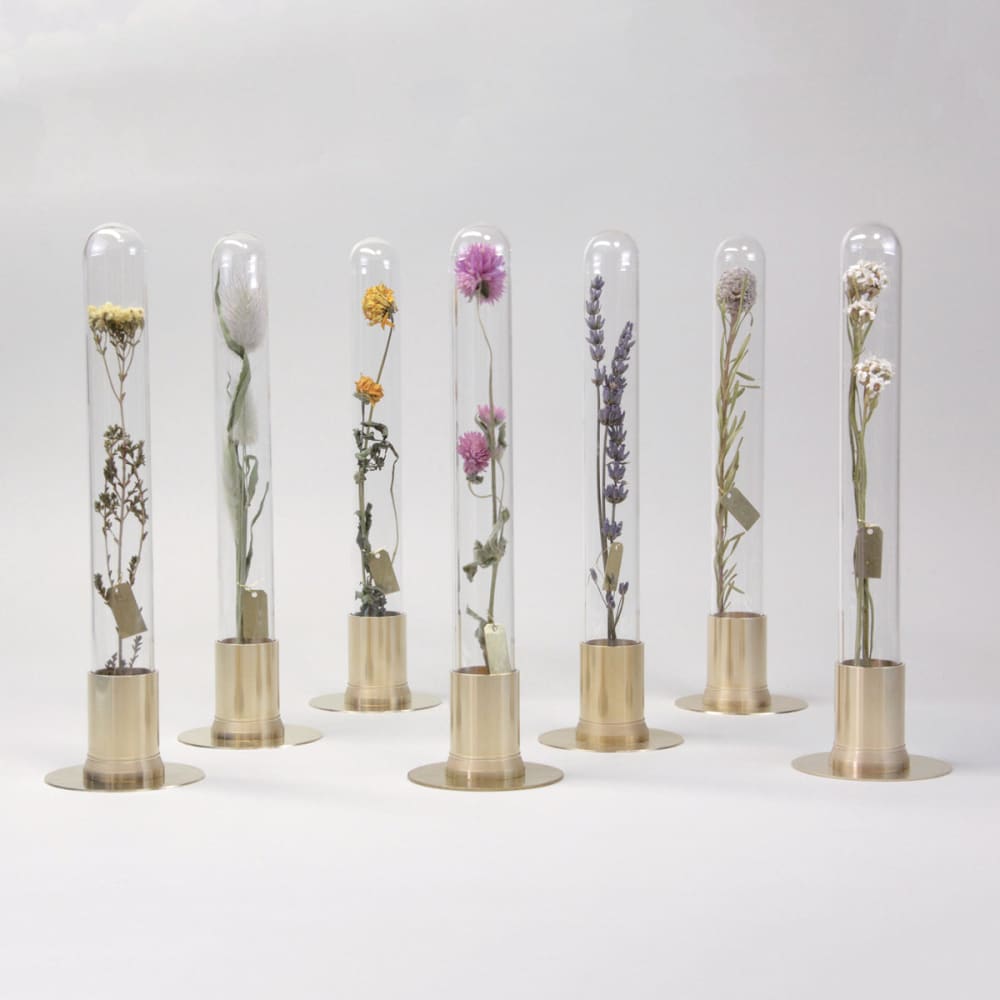 HERBARIUM BRASS GLASS DOME & FLOWER VASE SOLID - Vase