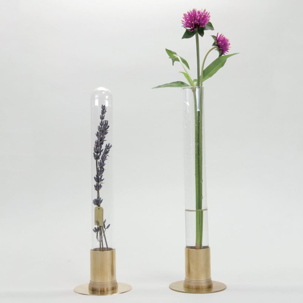 HERBARIUM BRASS GLASS DOME & FLOWER VASE SOLID - Vase